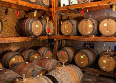 Wine barrels in fermentation room