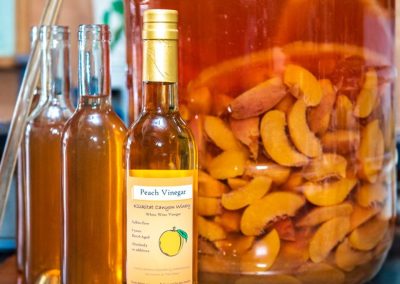 Organic Peach Vinegar with carboy of peaches and mother